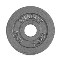 Barbell Gray Olympic Cast Iron Weight Plate, 245Lb Set